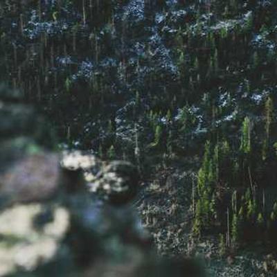 Portrait of a female COO standing in an office environment.